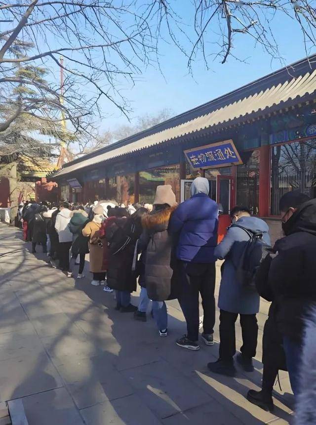 年后这些“小赚”行业在全网爆火开元棋牌“发大财难如登天”过(图4)